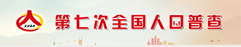 第七次全国人口普查